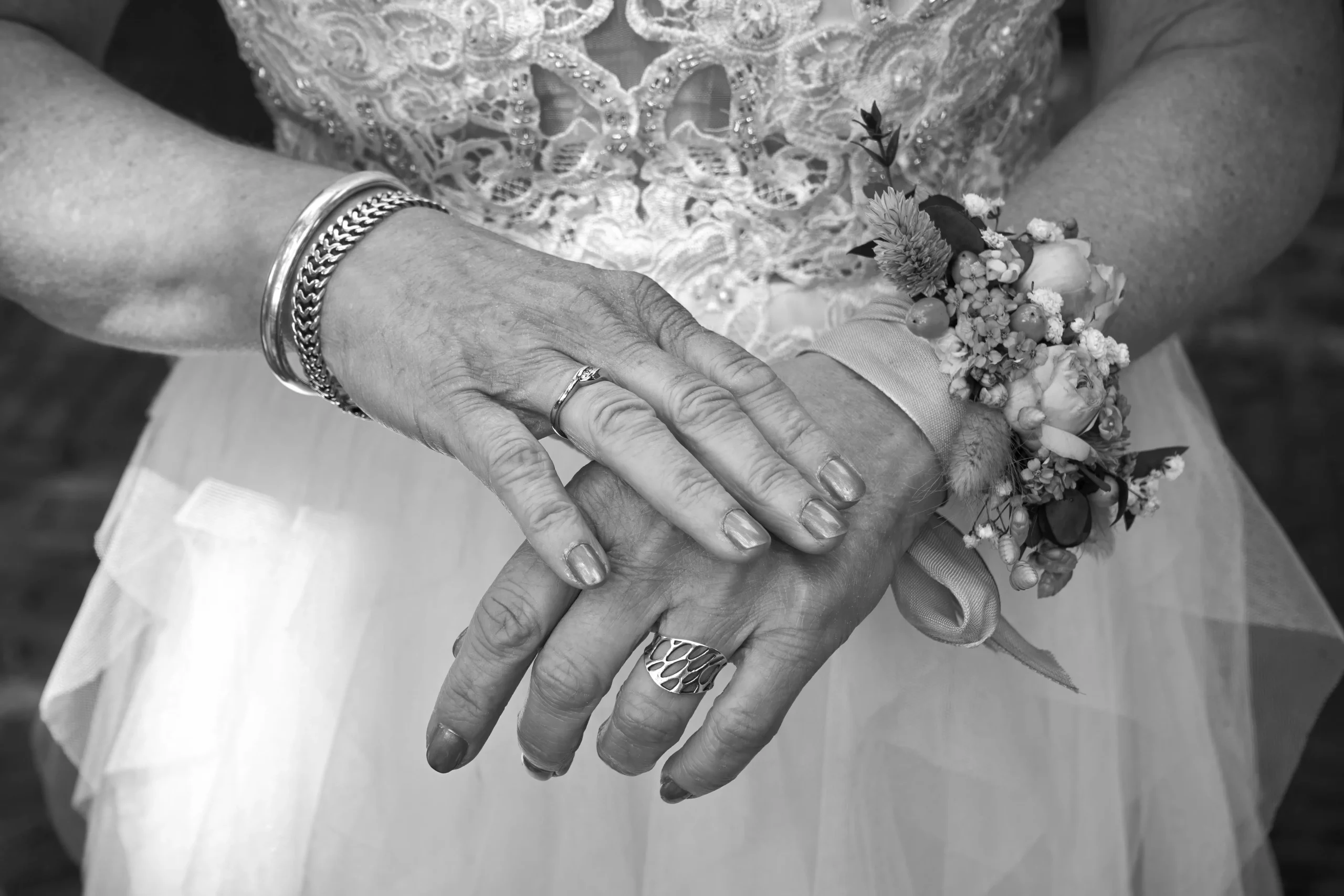 Wolf_20230602_0469-Edit+AI-denoise